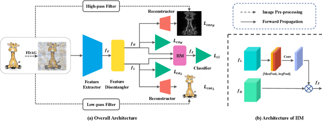 Figure 2 for Domain Generalization via Frequency-based Feature Disentanglement and Interaction