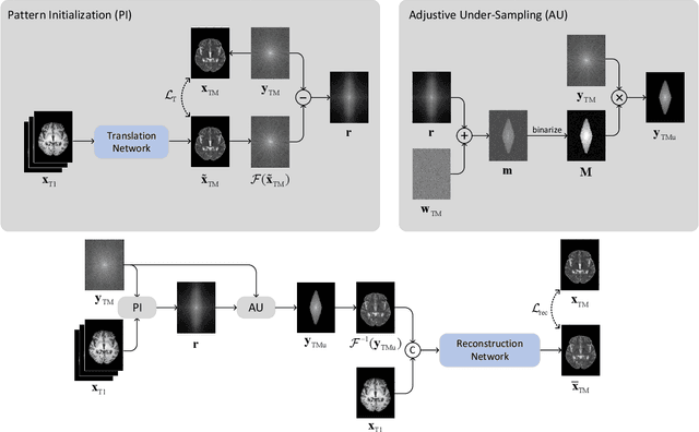 Figure 1 for Fast T2w/FLAIR MRI Acquisition by Optimal Sampling of Information Complementary to Pre-acquired T1w MRI