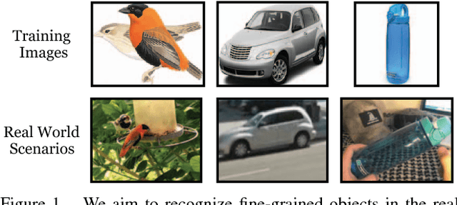 Figure 1 for Fine-grained Recognition in the Wild: A Multi-Task Domain Adaptation Approach