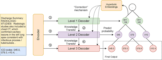 Figure 1 for HiCu: Leveraging Hierarchy for Curriculum Learning in Automated ICD Coding