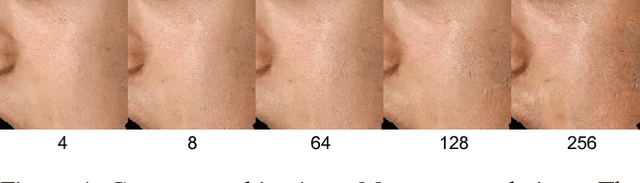 Figure 3 for Photorealistic Facial Texture Inference Using Deep Neural Networks