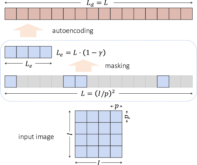 Figure 1 for Exploring Long-Sequence Masked Autoencoders