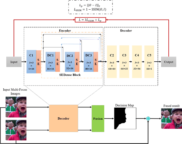 Figure 1 for SESF-Fuse: An Unsupervised Deep Model for Multi-Focus Image Fusion