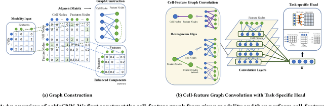 Figure 1 for Graph Neural Networks for Multimodal Single-Cell Data Integration