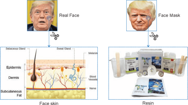 Figure 3 for 3D Face Mask Presentation Attack Detection Based on Intrinsic Image Analysis