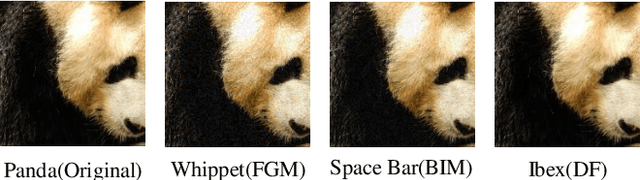 Figure 4 for ASP:A Fast Adversarial Attack Example Generation Framework based on Adversarial Saliency Prediction