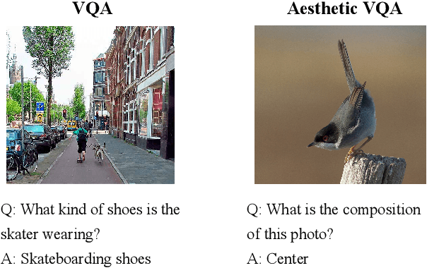 Figure 1 for Aesthetic Visual Question Answering of Photographs