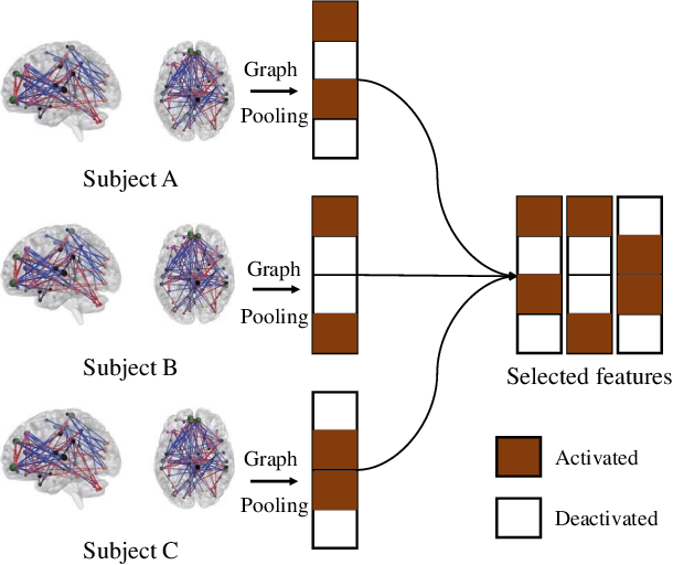 Figure 3 for Identifying Autism Spectrum Disorder Based on Individual-Aware Down-Sampling and Multi-Modal Learning