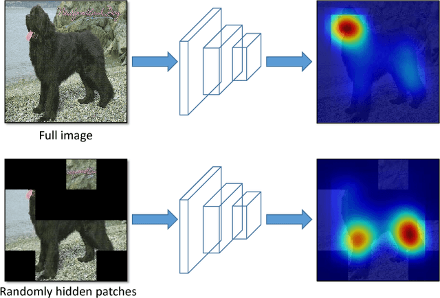 Figure 1 for Hide-and-Seek: A Data Augmentation Technique for Weakly-Supervised Localization and Beyond