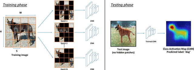 Figure 3 for Hide-and-Seek: A Data Augmentation Technique for Weakly-Supervised Localization and Beyond