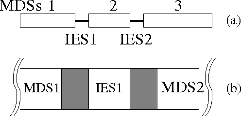Figure 1 for "Going back to our roots": second generation biocomputing