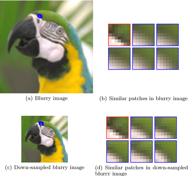 Figure 3 for Edge-Based Blur Kernel Estimation Using Sparse Representation and Self-Similarity