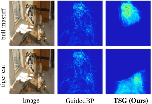 Figure 1 for TSG: Target-Selective Gradient Backprop for Probing CNN Visual Saliency