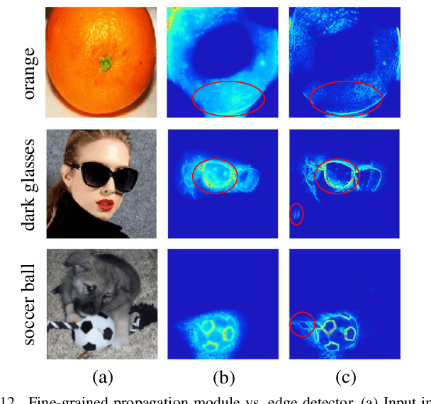 Figure 4 for TSG: Target-Selective Gradient Backprop for Probing CNN Visual Saliency