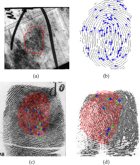 Figure 2 for Automated Latent Fingerprint Recognition