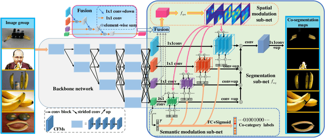 Figure 3 for Deep Object Co-segmentation via Spatial-Semantic Network Modulation