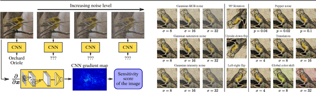 Figure 1 for Fine-grained Recognition in the Noisy Wild: Sensitivity Analysis of Convolutional Neural Networks Approaches