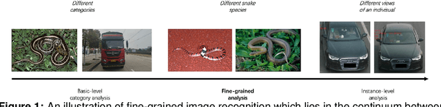 Figure 1 for Explored An Effective Methodology for Fine-Grained Snake Recognition