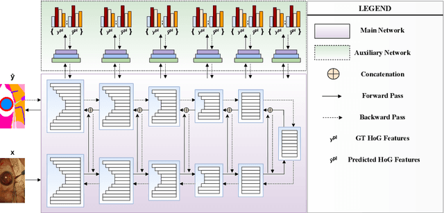 Figure 3 for Histogram of Oriented Gradients Meet Deep Learning: A Novel Multi-task Deep Network for Medical Image Semantic Segmentation