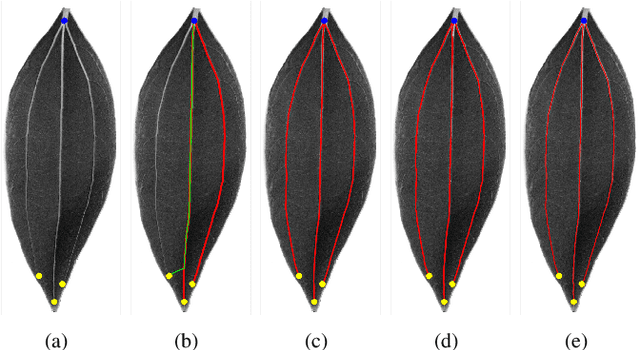 Figure 4 for Minimal Paths for Tubular Structure Segmentation with Coherence Penalty and Adaptive Anisotropy