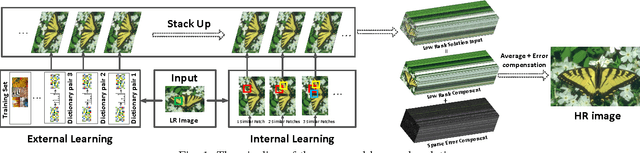 Figure 1 for How Does the Low-Rank Matrix Decomposition Help Internal and External Learnings for Super-Resolution