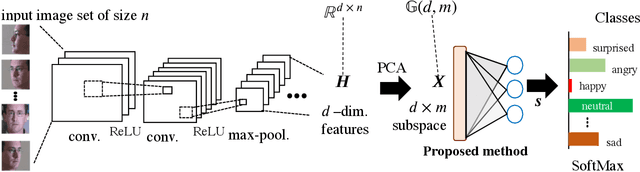 Figure 1 for Grassmannian learning mutual subspace method for image set recognition