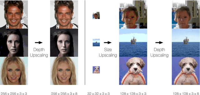 Figure 1 for Generating High Fidelity Images with Subscale Pixel Networks and Multidimensional Upscaling