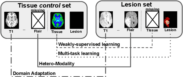 Figure 1 for Learning joint segmentation of tissues and brain lesions from task-specific hetero-modal domain-shifted datasets