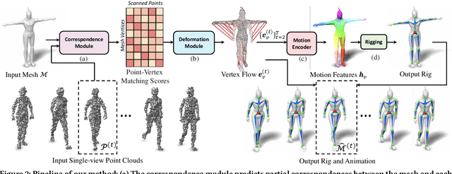 Figure 2 for Morig: Motion-aware rigging of character meshes from point clouds