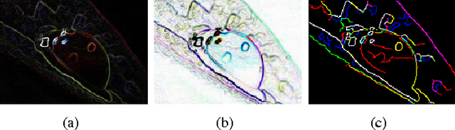 Figure 2 for Color image denoising by chromatic edges based vector valued diffusion
