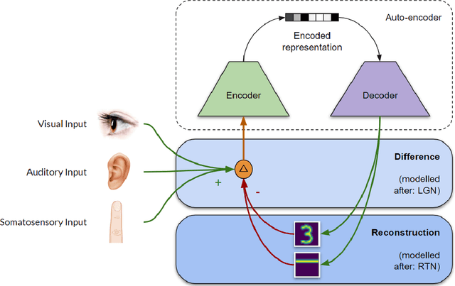 Figure 3 for CTNN: Corticothalamic-inspired neural network