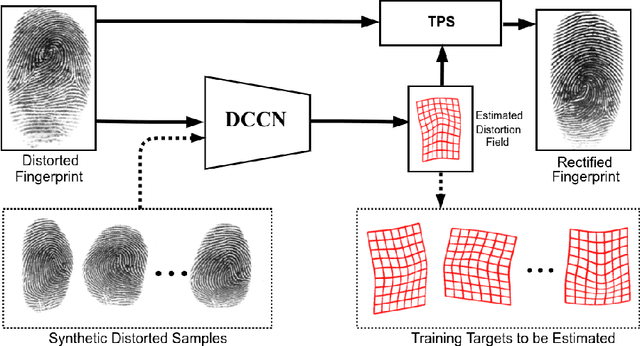 Figure 1 for Fingerprint Distortion Rectification using Deep Convolutional Neural Networks