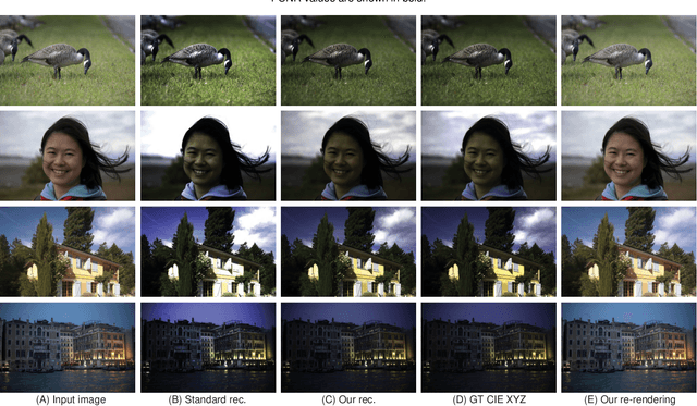 Figure 2 for CIE XYZ Net: Unprocessing Images for Low-Level Computer Vision Tasks