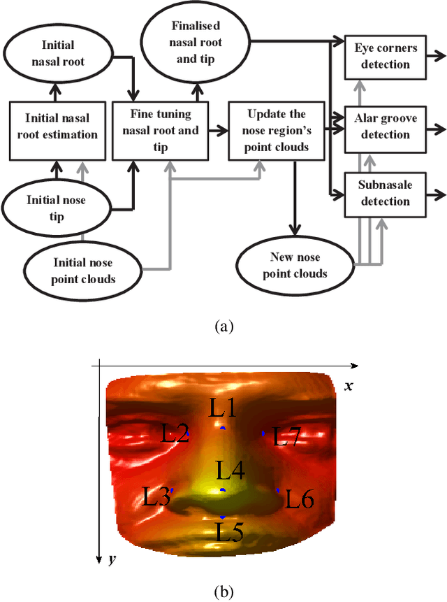 Figure 1 for Nasal Patches and Curves for Expression-robust 3D Face Recognition