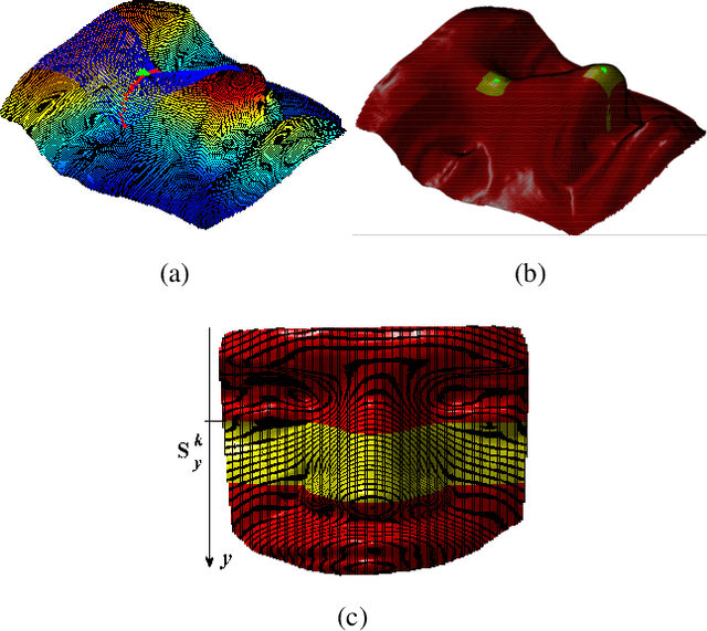Figure 4 for Nasal Patches and Curves for Expression-robust 3D Face Recognition