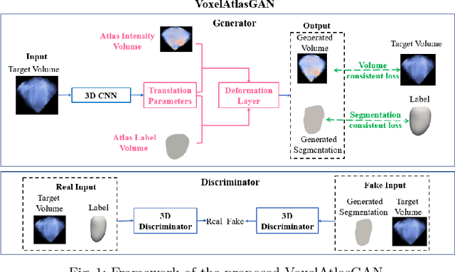 Figure 1 for VoxelAtlasGAN: 3D Left Ventricle Segmentation on Echocardiography with Atlas Guided Generation and Voxel-to-voxel Discrimination
