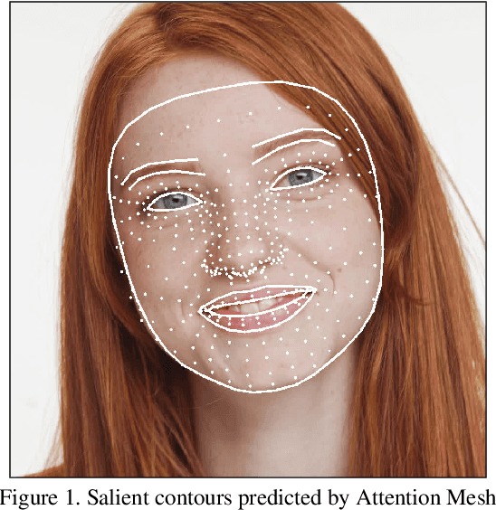 Figure 1 for Attention Mesh: High-fidelity Face Mesh Prediction in Real-time