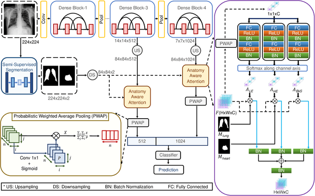 Figure 3 for Anatomy X-Net: A Semi-Supervised Anatomy Aware Convolutional Neural Network for Thoracic Disease Classification