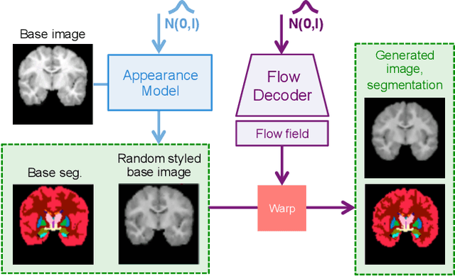 Figure 4 for Self-Supervised Generative Style Transfer for One-Shot Medical Image Segmentation