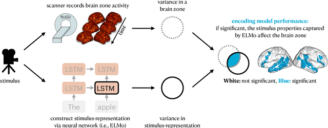 Figure 1 for Same Cause; Different Effects in the Brain