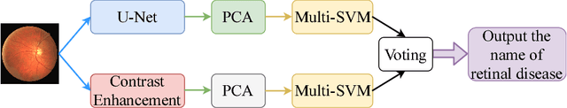 Figure 1 for Auto-Classification of Retinal Diseases in the Limit of Sparse Data Using a Two-Streams Machine Learning Model