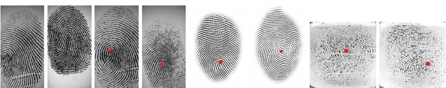 Figure 1 for SP-NET: One Shot Fingerprint Singular-Point Detector
