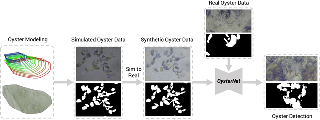 Figure 2 for OysterNet: Enhanced Oyster Detection Using Simulation