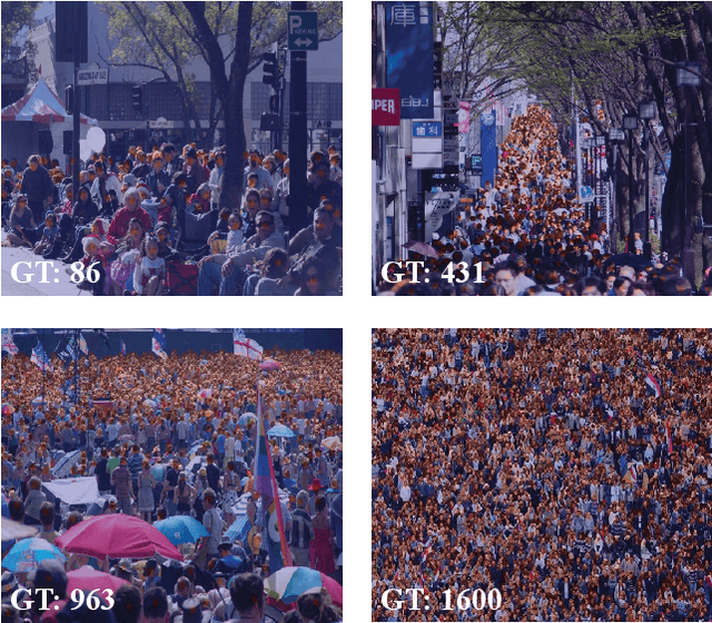 Figure 1 for Crowd counting with segmentation attention convolutional neural network