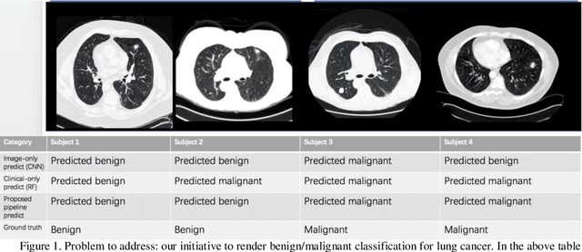 Figure 1 for Lung Cancer Detection using Co-learning from Chest CT Images and Clinical Demographics