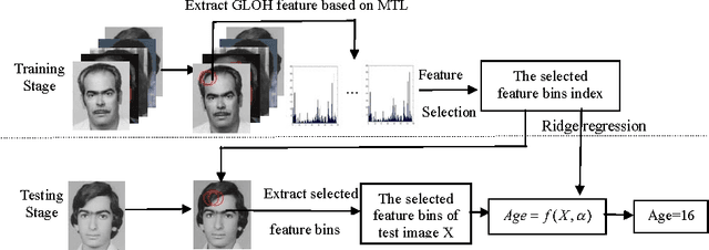 Figure 1 for Multi-task GLOH feature selection for human age estimation