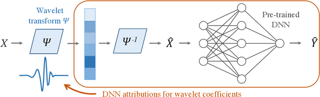Figure 1 for Adaptive wavelet distillation from neural networks through interpretations