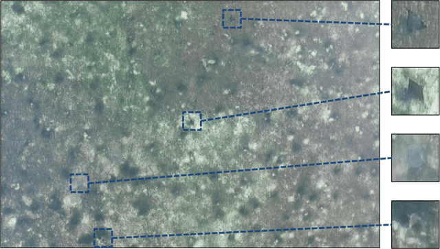 Figure 1 for Stingray Detection of Aerial Images Using Augmented Training Images Generated by A Conditional Generative Model