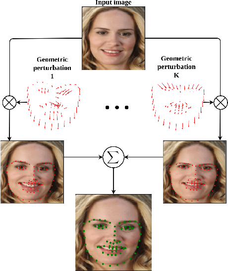 Figure 1 for Robust Facial Landmark Detection via Aggregation on Geometrically Manipulated Faces