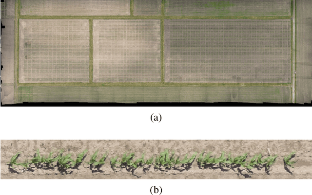 Figure 1 for Deep Transfer Learning For Plant Center Localization